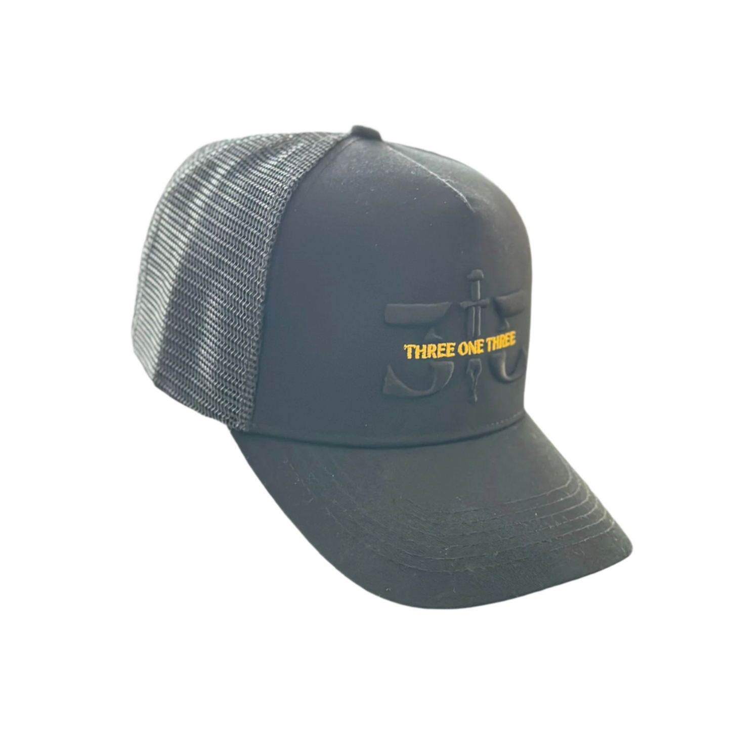 313 Trucker cap